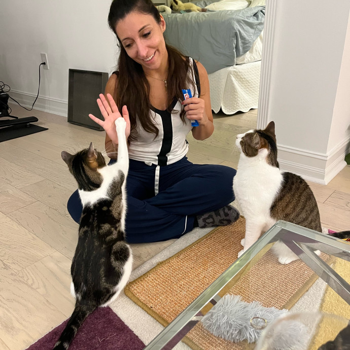 Cat Lover To Spoil Your Little Ones photo 2