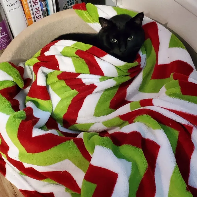 Wendi's Purrfect