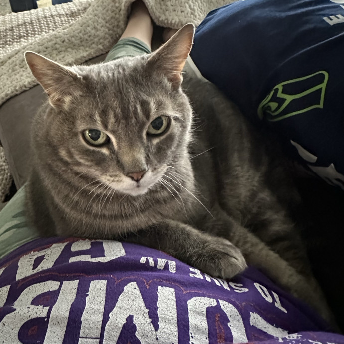 Wendi's Purrfect