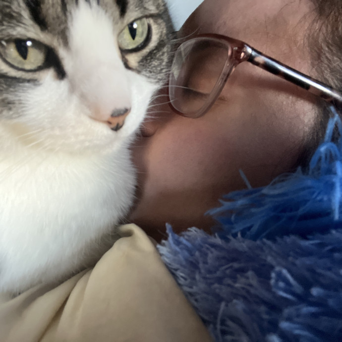 Emily Loves Kats In Atx Area Catmom