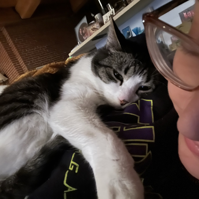 Emily Loves Kats In Atx Area Catmom