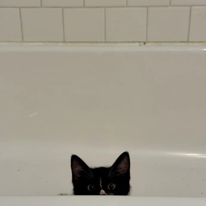 Ursula S.
