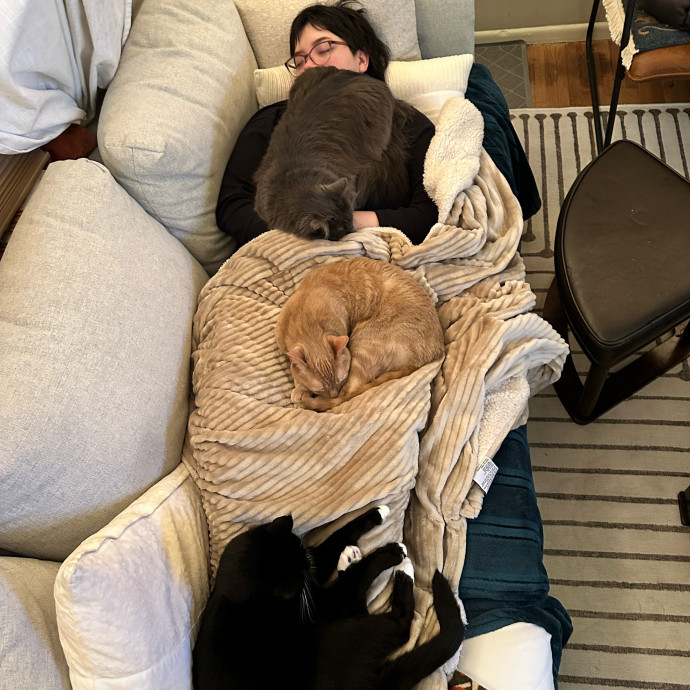Elizabeth - The Purrtland Cat Sitter photo 2