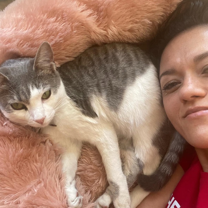 Experienced Sitter Who Loves Cats Deeply