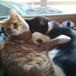 Photo #4 Photo #4