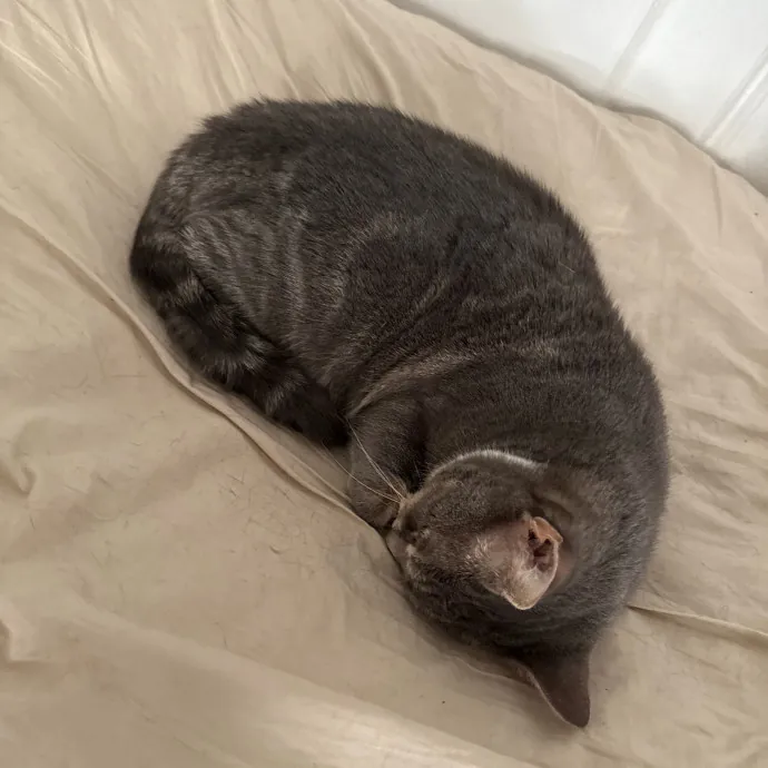 Hector The Protector photo 3