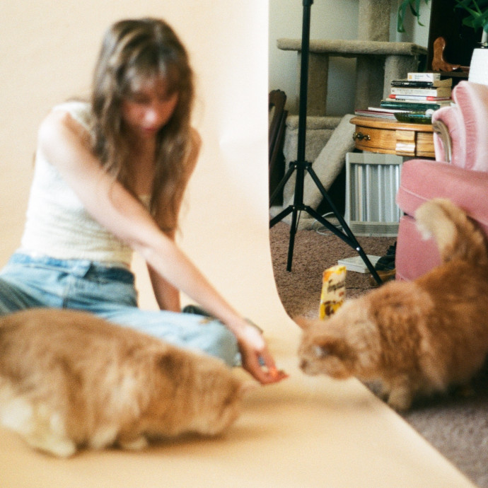 Cat Lady