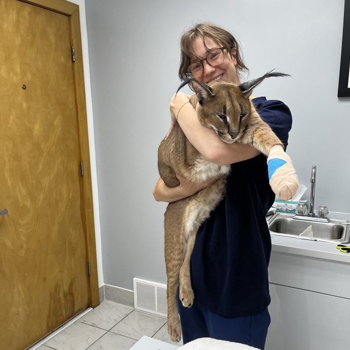 Cat Lady photo 2