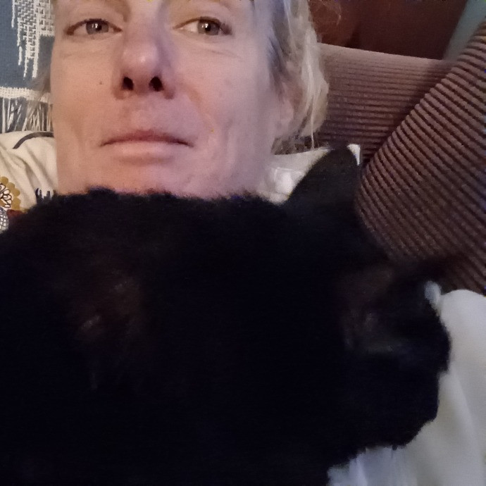 Main Line Meows photo 2
