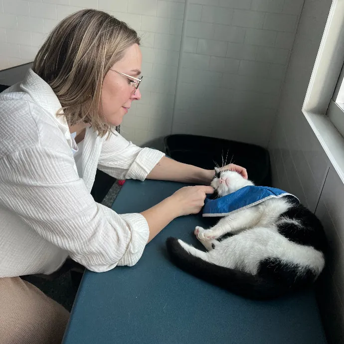 Responsible Cat Mom Of Two
