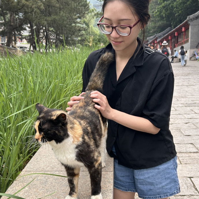 Your Patient Considerate Cat Sitter photo 3