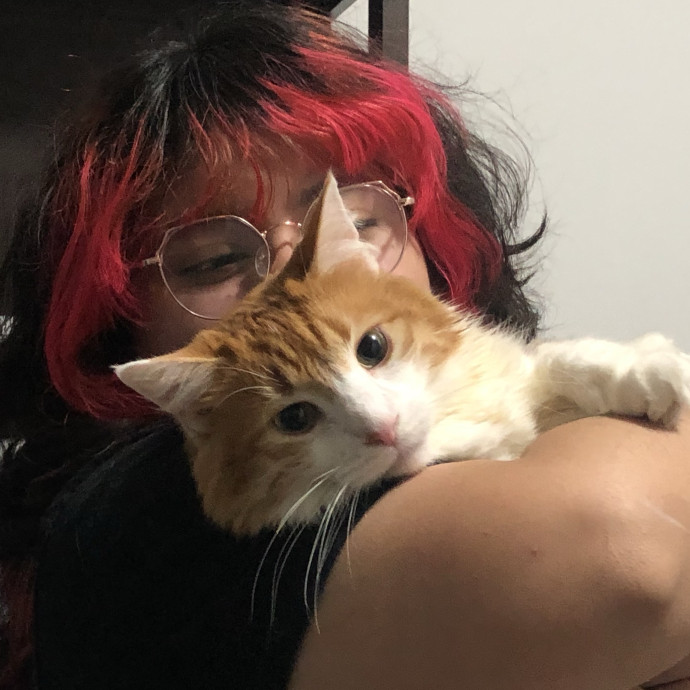 Your Local Queer Cat Sitter