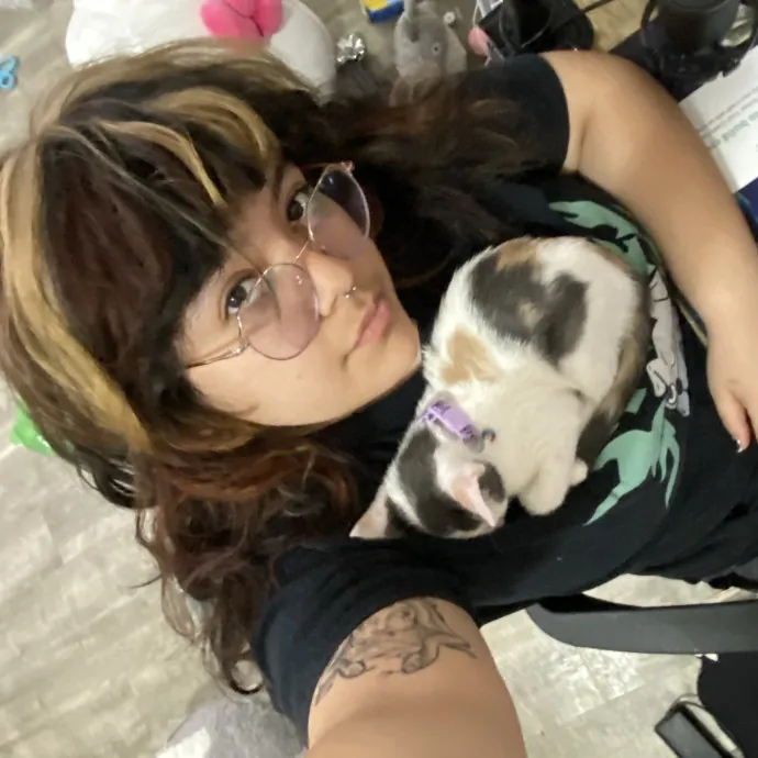 Seven Cats Approved Care
