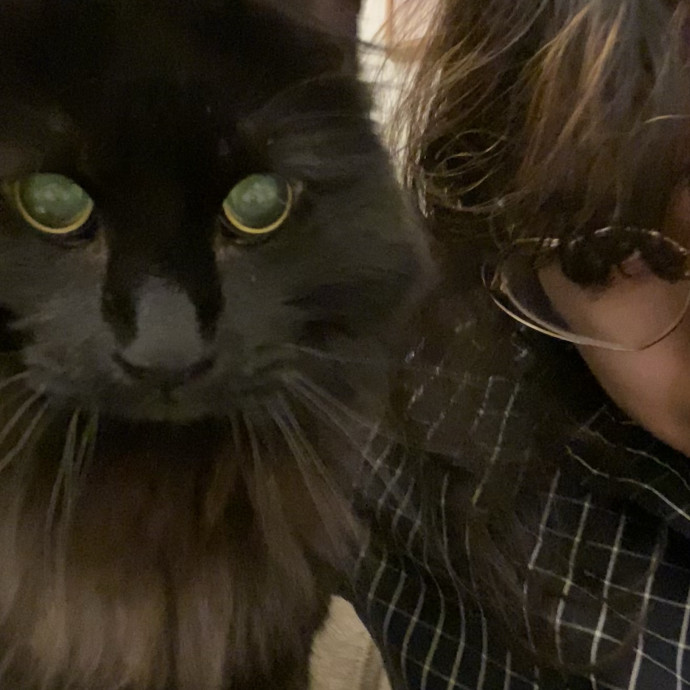 Your Local Queer Cat Sitter