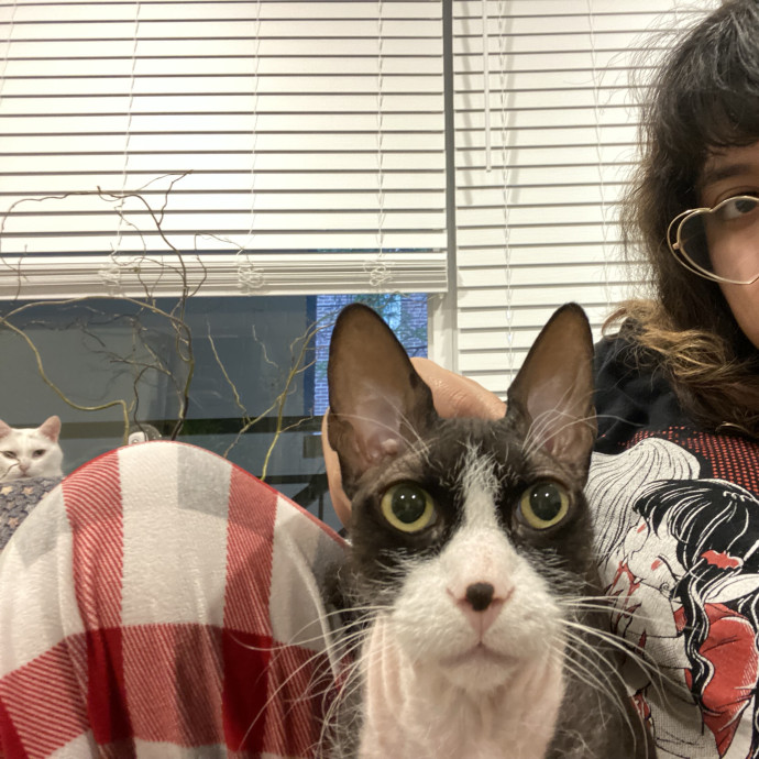 Your Local Queer Cat Sitter