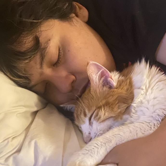 Your Local Queer Cat Sitter