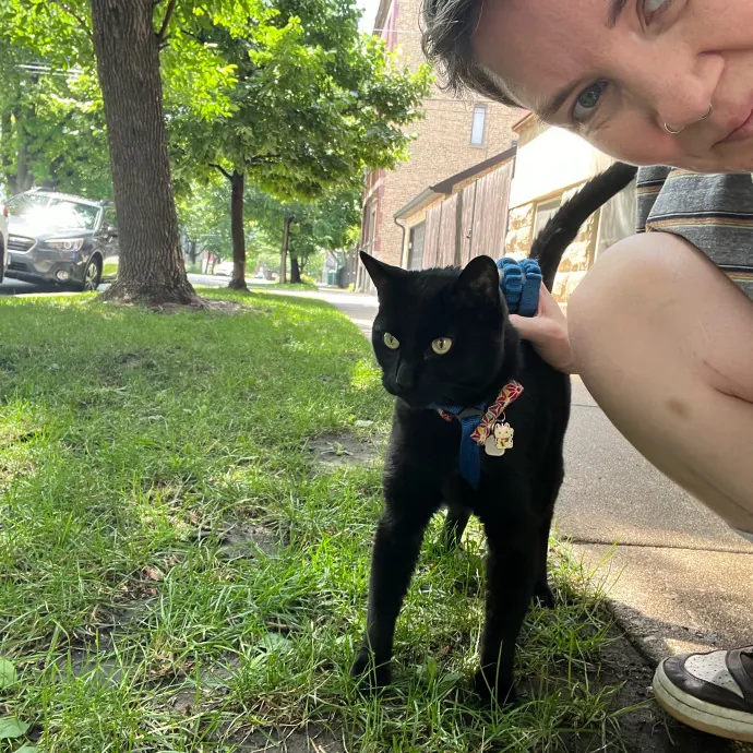 Lifelong Caregiver Of Special Needs Cats