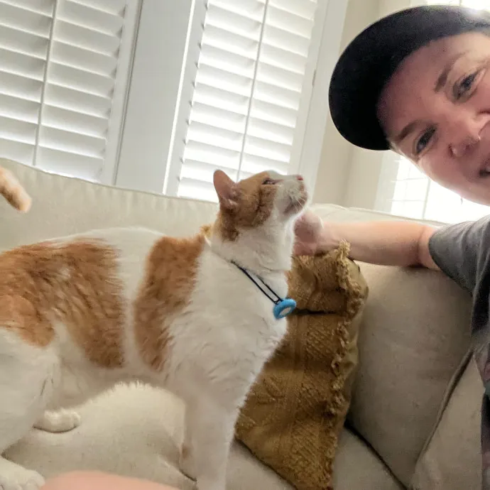 Lifelong Caregiver Of Special Needs Cats