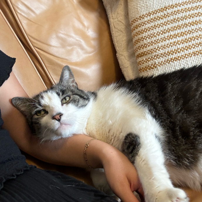 Esther The Most Cat-Friendly Human
