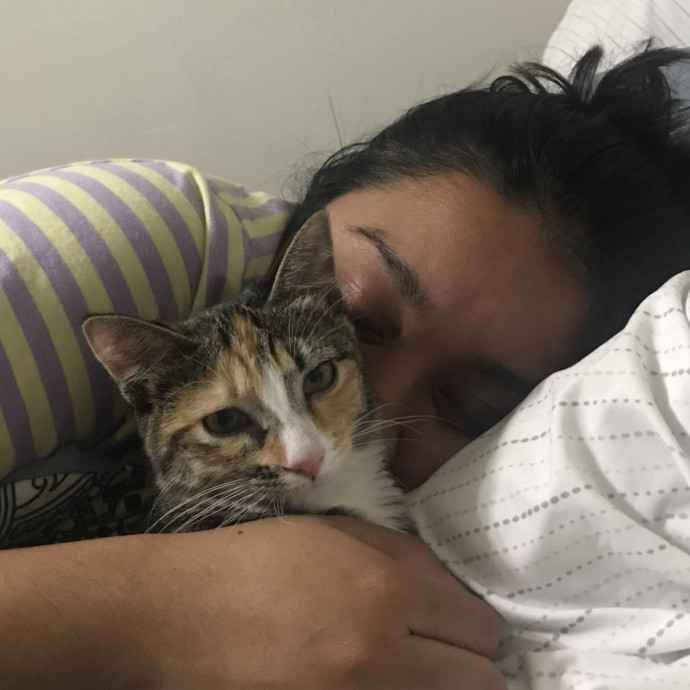 Bilingual Vet Assistant  Pet Sitter