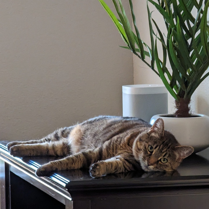 Purr-Ty Time Cat Care Unavailable