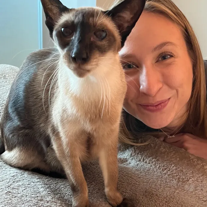 Bay Cat Companion