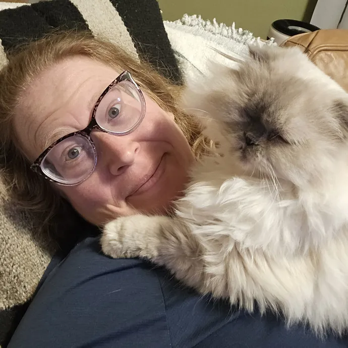 Concord Cat Castle Sitter And Guardian