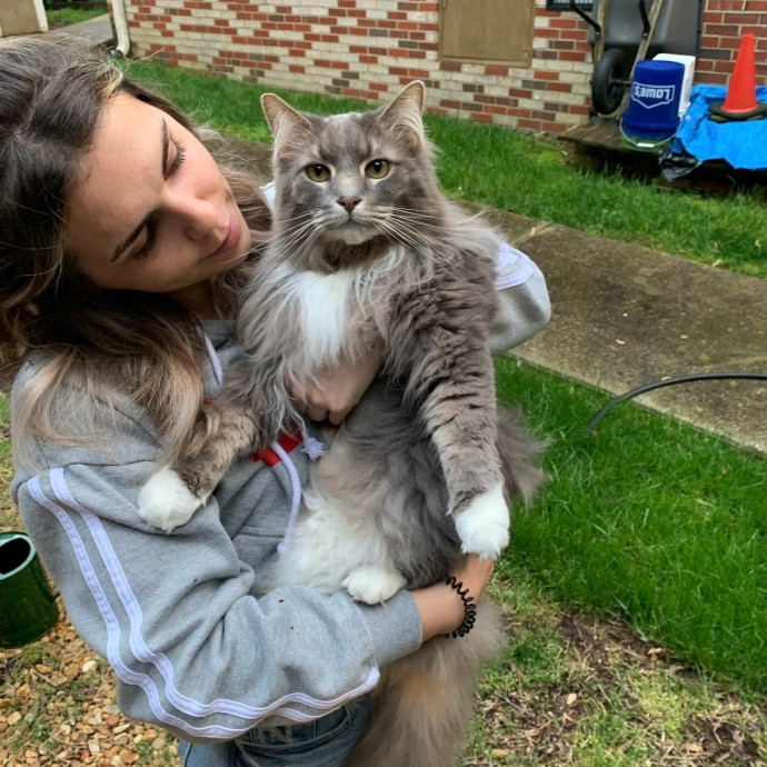 Loving  Reliable Cat Sitter  Meds Pro photo 2