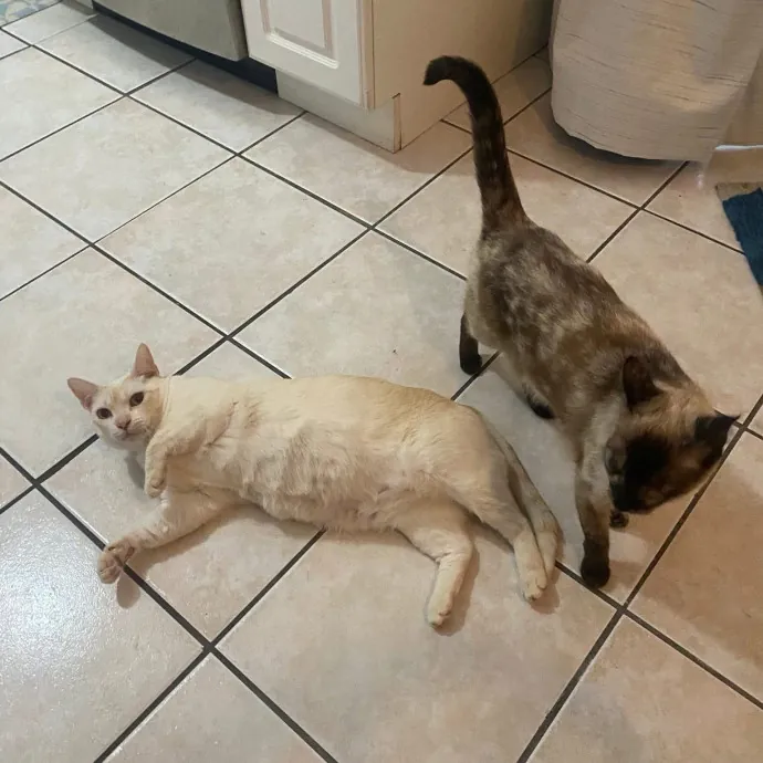 Sara B.