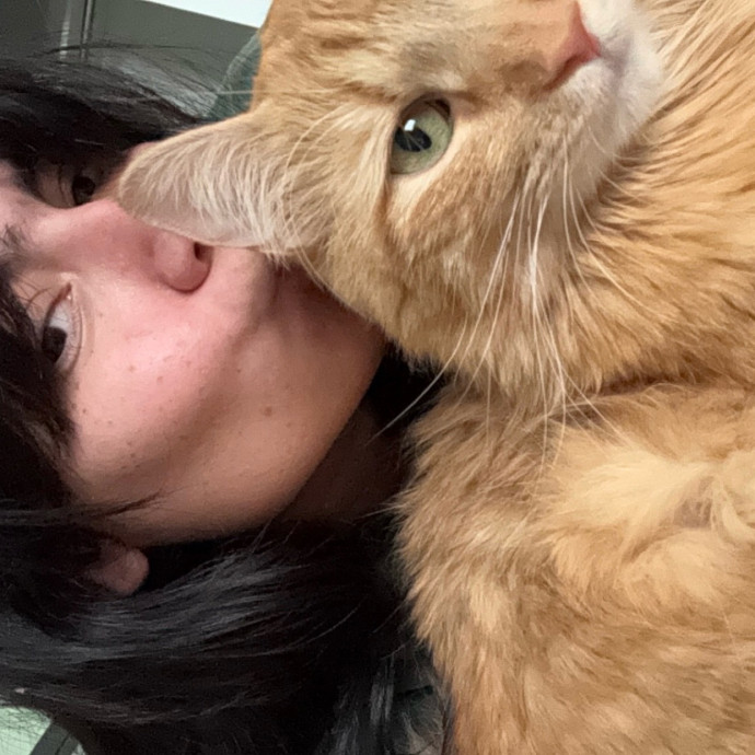 Caring Reliable  Paw-Sitive Cat Sitter