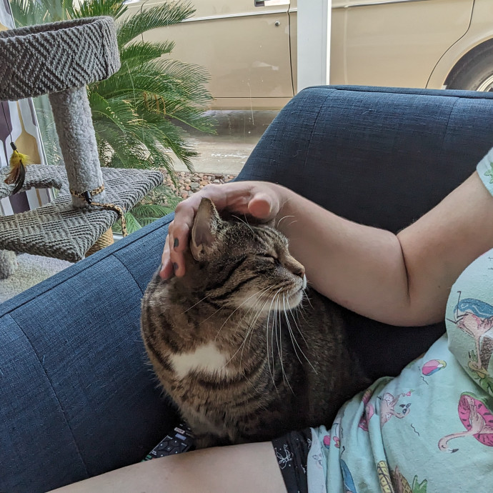Creating Pawsitive Experiences
