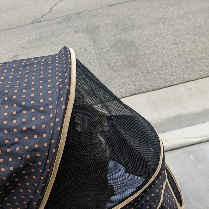 Creating Pawsitive Experiences photo 3