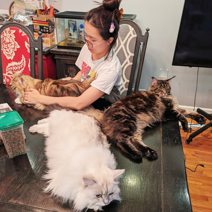 Patient  Experienced Cat Mom photo 2
