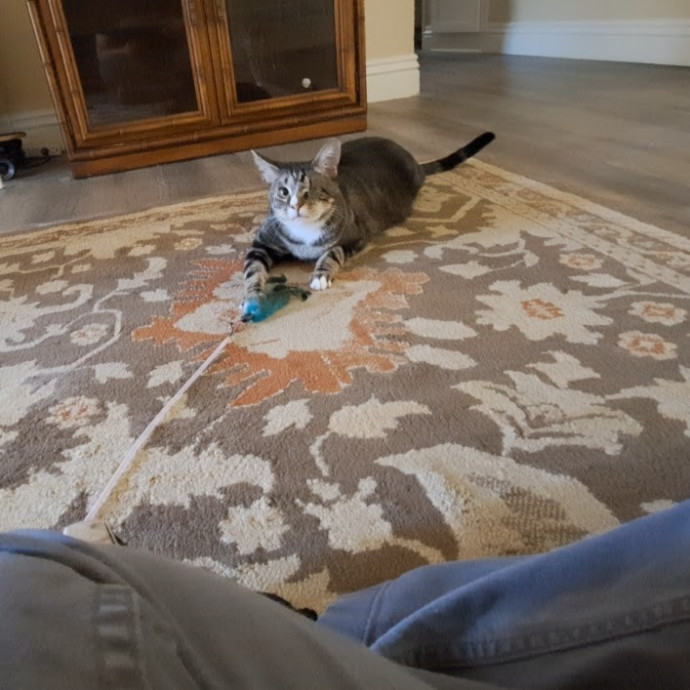 Desert Catrovert Specialist