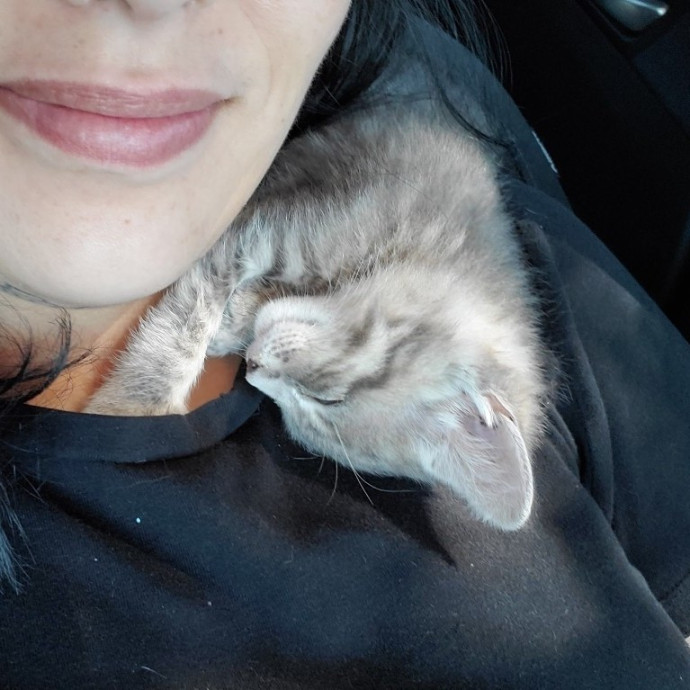 Desert Catrovert Specialist