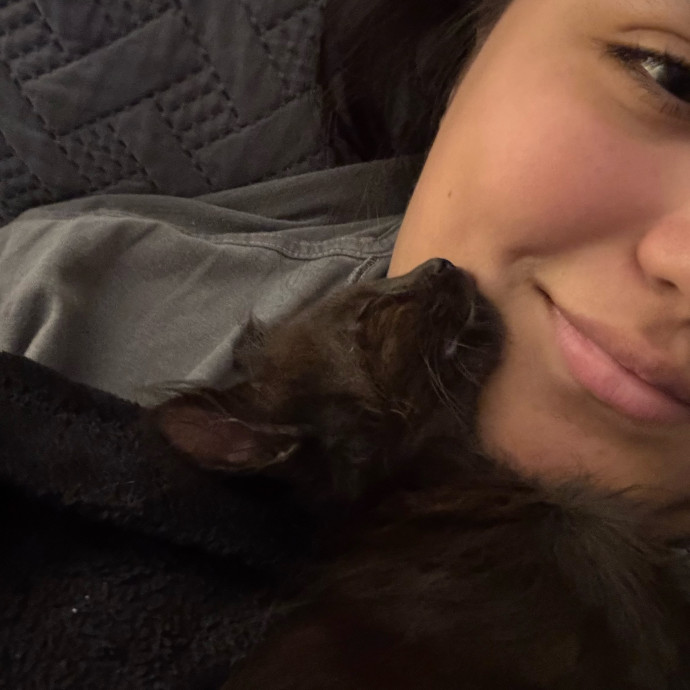 Whisker Whisperer Treat Dispenser