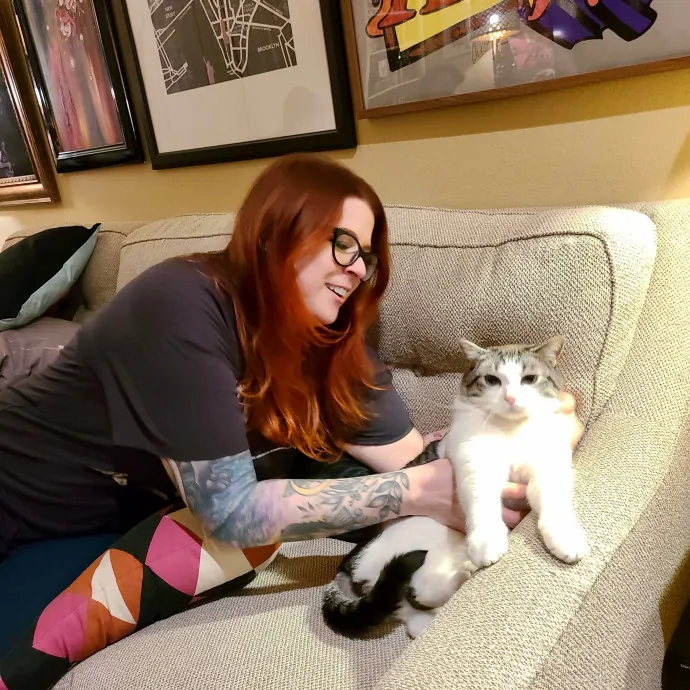Adventures In Catsitting