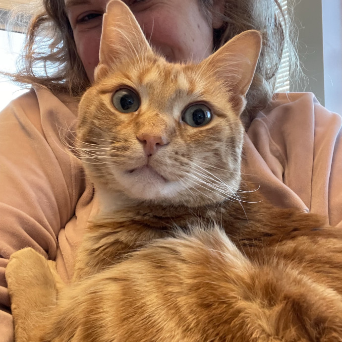 Love Your Kitties As My Own