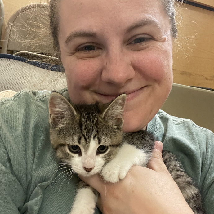 Love Your Kitties As My Own