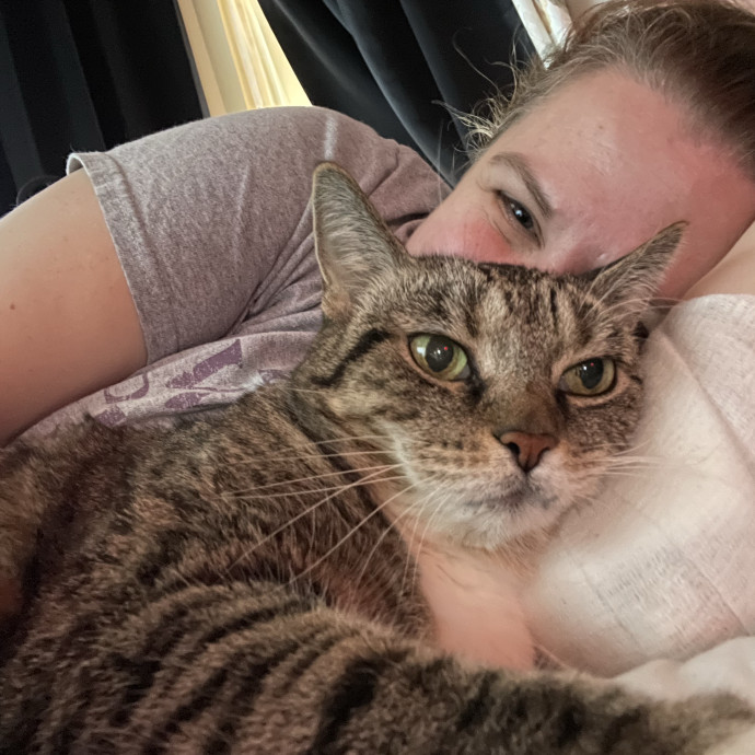Love Your Kitties As My Own