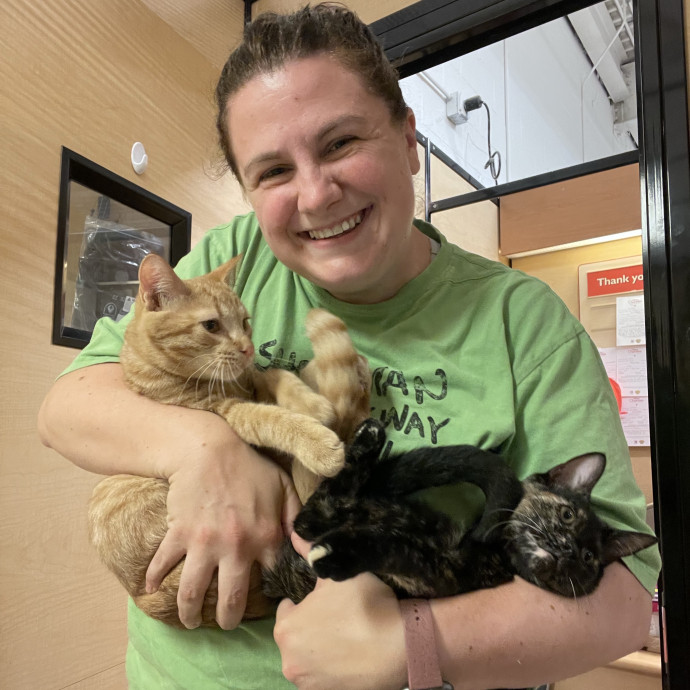 Love Your Kitties As My Own