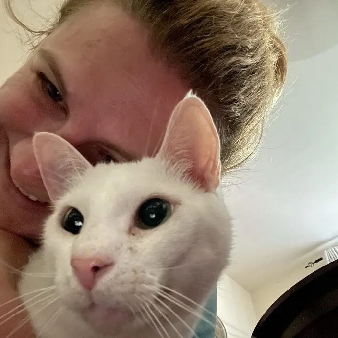 Love Your Kitties As My Own