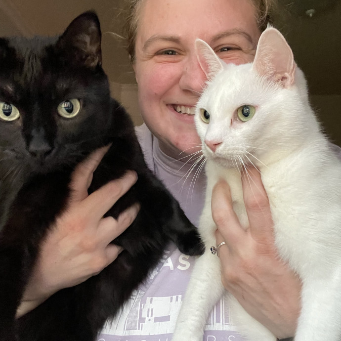 Love Your Kitties As My Own photo 2