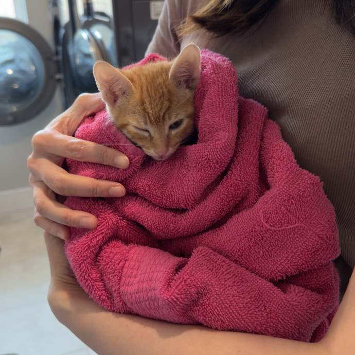 Loving And Reliable Pet Care