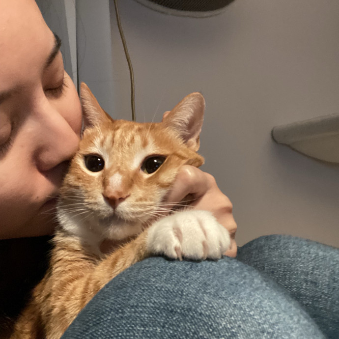 Loving And Reliable Pet Care