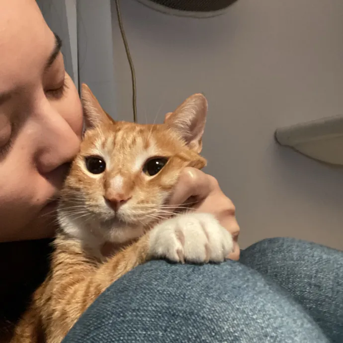 Loving Reliable Pet Care photo 3