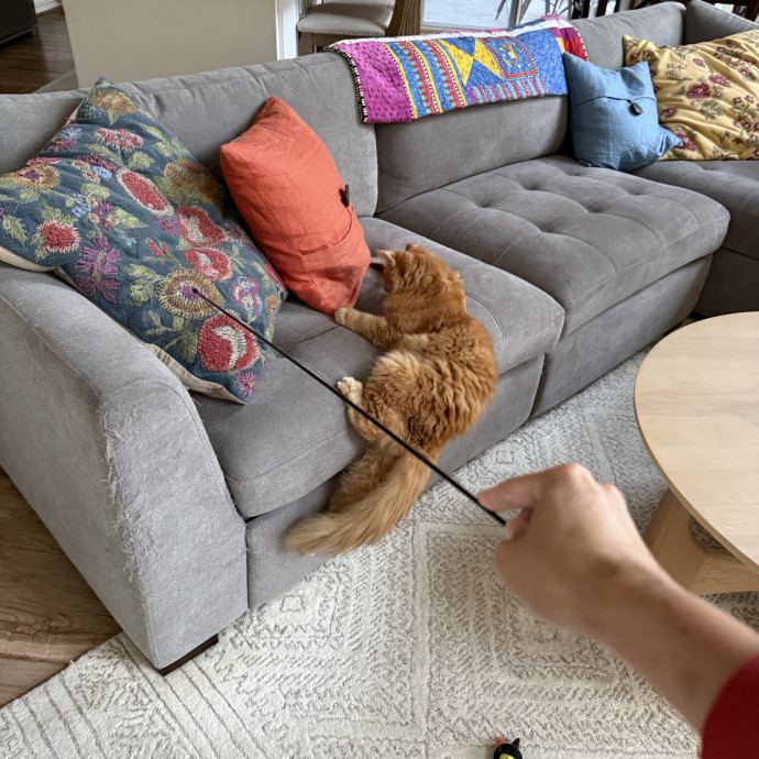 Loving And Reliable Pet Care