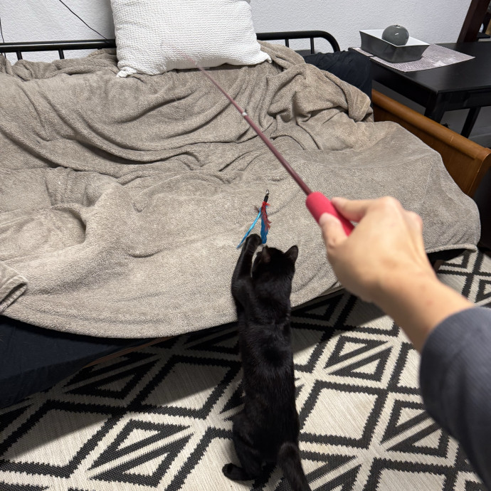 Loving And Reliable Pet Care photo 3