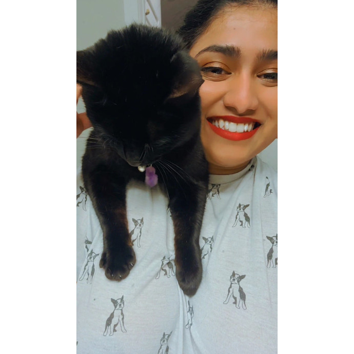 Navoda's Kitty Care