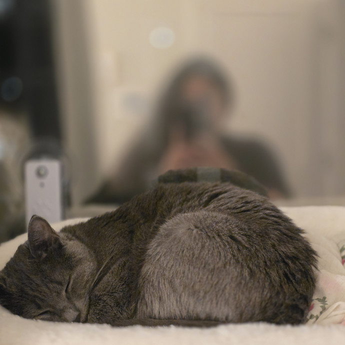 Navoda's Kitty Care photo 3